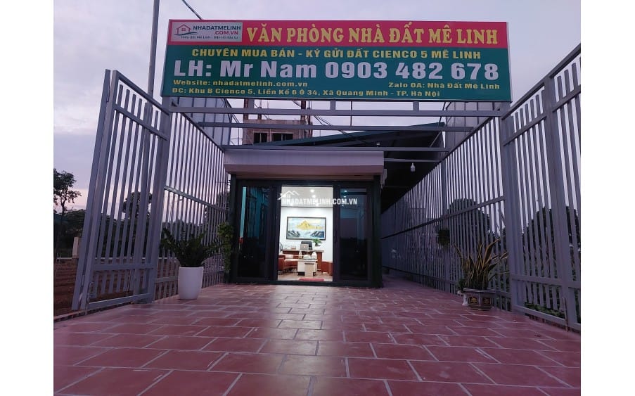 video image