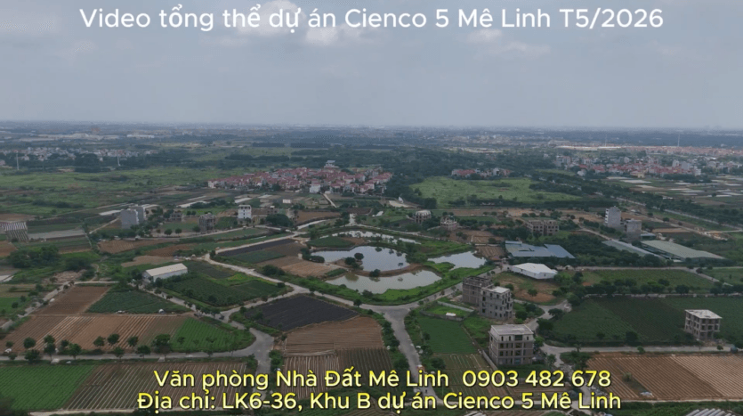 Liền kề Cieno 5 Mê Linh