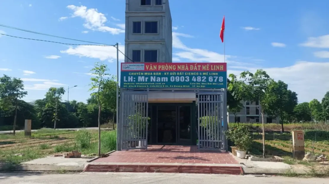 video image