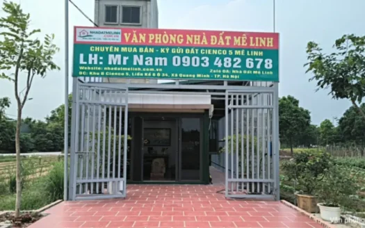 Cienco 5 Mê Linh chưa bao giờ giá tốt đến vậy.