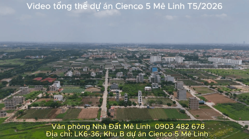 Cienco 5 Mê Linh