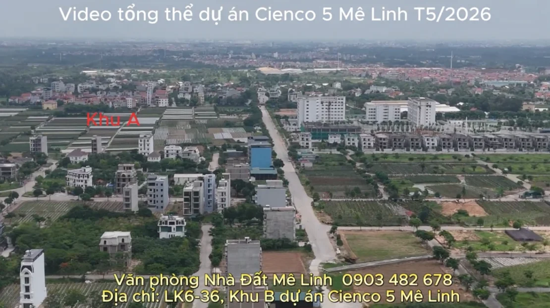 video image