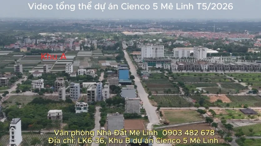 Bán biệt thự cienco 5 Mê Linh